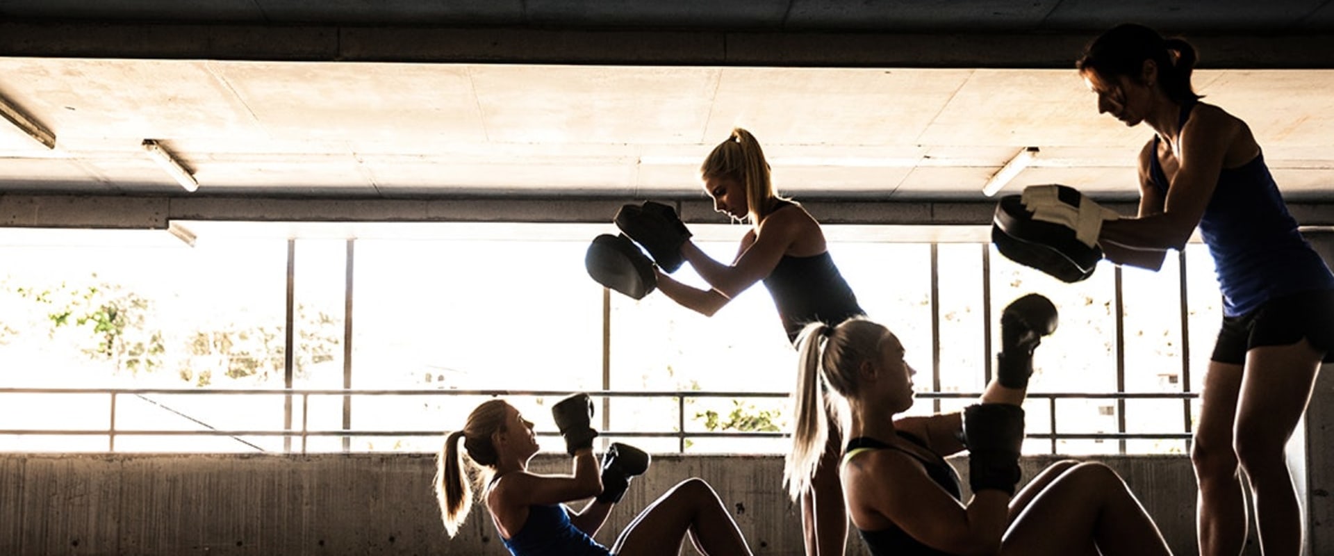 Box Gyms: All You Need to Know